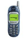 Best available price of Motorola T190 in Solomonislands