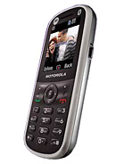 Best available price of Motorola WX288 in Solomonislands