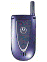 Best available price of Motorola V66i in Solomonislands